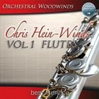 Best Service Chris Hein Winds Volume 1 - Flute Four Flute Virtual Sample Library [download]