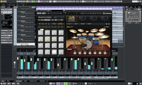 Steinberg GROOVE-AGENT-5-EDU Virtual Drum Workstation Instrument, Academic [download]