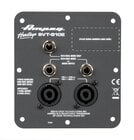 Ampeg 16-764-03  Jack Plate Assembly for SVT-810E