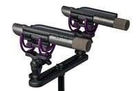 Small-Diaphragm Condenser Pair of Microphones with Onboard Laser Targeting, Cardioid