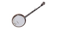 Recording King RK-ELITE-75, Folk Instruments