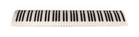 Korg TAS0001020  Complete 76 Key Keybed for Pa3X76