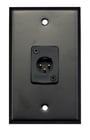Whirlwind WP1B/1MW Single Gang Wallplate with XLRM Connector, Black