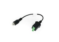 Williams AV WCA 105 4" RCA to Mini-Phoenix Contact Cable 