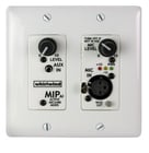 Whirlwind MIPAID  Single Gang Media Input Plate with 1/8" and XLR Inputs, Whit 