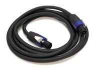 Whirlwind SK5100G12  Speaker Cable 12G NL4-NL4 100` 