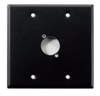 Whirlwind WP2B/1H  Dual Gang Wallplate Punched for 1 Whirlwind/Switchcraft D3F 