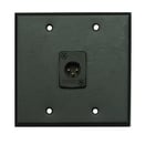 Whirlwind WP2B/1MW  Dual Gang Wallplate with 1 Whirlwind WC3M XLRM Connector Blk 
