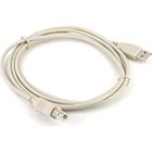 Lectrosonics 21713  24" USB-A to USB-B Cable 