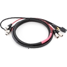 Pro Co EC2-75 75' Combo Cable with Dual XLR and Edison to IEC