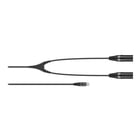 Sennheiser CA 6042 XLR Mini XLRF-5 to Twin XLRM-3 Adapter Cable for EK-6402 Receiver