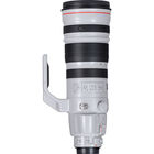 Canon EF 200-400mm f/4L IS USM Extender Lens