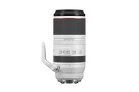 Canon RF 100-500mm f/4.5-7.1L IS