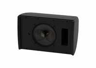 Martin Audio CDD10RAL Compact 2-Way Passive Loudspeaker with Custom Color, Subject to Set-Up Charge