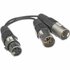 Bescor XLR-YM 4-Pin XLR-F to 2x 4-Pin XLR-M Y Cable