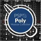 Cherry Audio PSP Poly Modular Collection PSP Polyphonic Modules for Voltage Modular [Virtual]