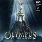 Soundiron OLYMPUS-CHOIR-MICRO  Symphonic Choir Ensemble for Kontakt [Virtual] 
