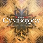 Soundiron Cymbology Bowed & Warped Cymbals SFX for Kontakt [Virtual] 
