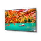 NEC MA431  43" Class 4K UHD Commercial IPS LED Display