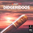 Soundiron Didgeridoos Didgeridoo Wind Instrument [Virtual]