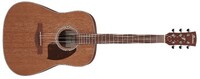 Ibanez PF54 PF54 Acoustic Guitar, Natural