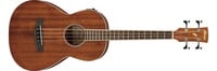 Ibanez PNB14EOPN 4-String Acoustic-Electric Bass with Parlor Body Style