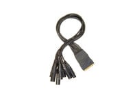 Planet Waves PW-XLRFB-01 Modular Snake Cable (8 Channel XLR Female to DB25 Breakout Connector)