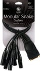 Planet Waves PW-XLRMB-01 Modular Snake Cable (8 Channel XLR Male to DB25 Breakout Connector)