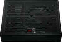 Peavey SP15M Two-Way Floor Monitor with 15" Woofer