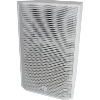 Grundorf AC-12-3F Altar Clarity Series 12" 2-Way Loudspeaker With Three 2x2 Flypoints