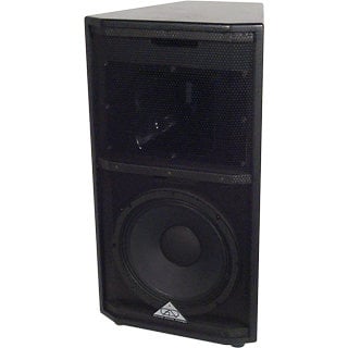 Grundorf GT-1226A-6F GT Series 12" 2-Way Bass Reflex Loudspeaker With Six 2x2 Flypoints