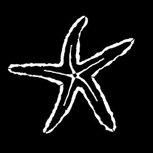 Apollo Design Technology MS-7005 Steel Gobo, Sea Starfish