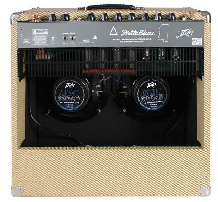 Peavey Delta Blues 210 Tweed Dual 10" Combo Tube Amplifier, 30W