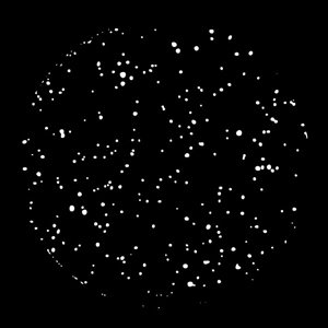 Apollo Design Technology HE-1007 Glass Gobo, Realistic Stars