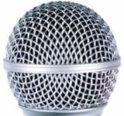 Shure RK248G Replacement Grille For SM48 Mic