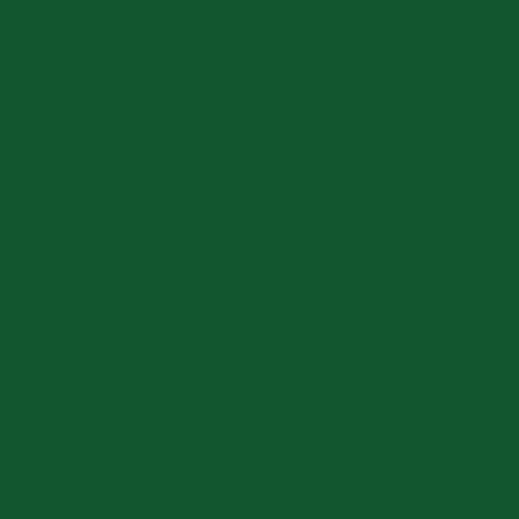 GAM 655-GAM 20" X 24" GamColor Rich Green Gel Filter