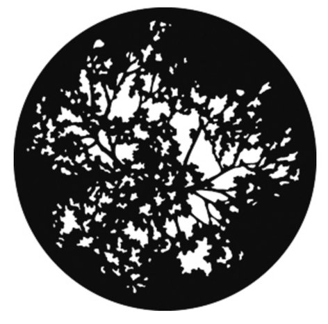 GAM G551 Steel Gobo - Summer Branches