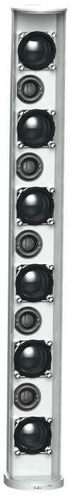 Biamp ENT-LFW ENTASYS Low Frequency Extension Column Line Array System, White