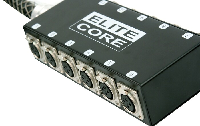 Elite Core PS12030 30' 12-Channel Stage Box Snake With No Returns