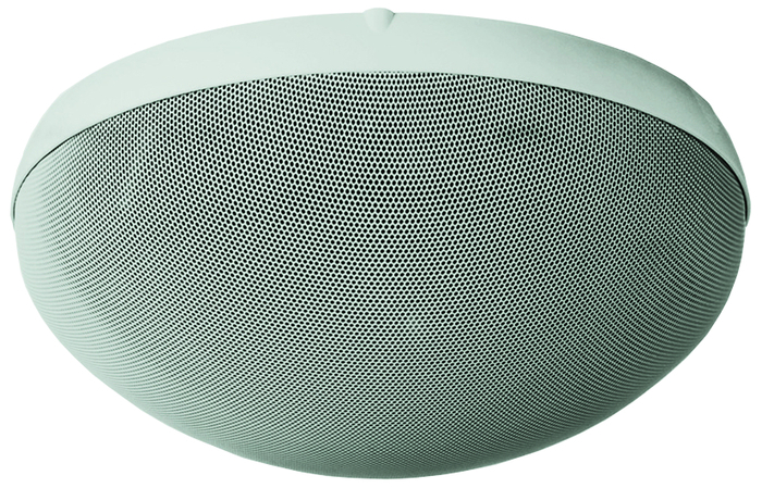 speaker dome