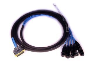 Avid DigiSnake DB25-XLRF Analog Snake Cable - 12'''' 8-Channel DB25 Male To XLR Female , 12' Length