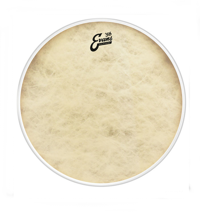 Evans TT16CT 16" '56 Calftone Tom Drumhead