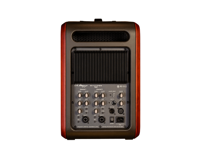 LR Baggs Synapse 2-Channel Personal PA System