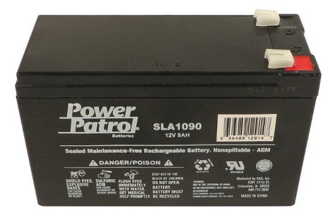 Interstate Battery DSL1079 SLA250 12V 9AH Battery