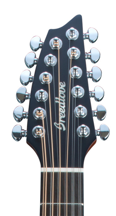 Breedlove SOLO-12STR Solo 12-String Solo 12-String Acoustic-Electric Guitar