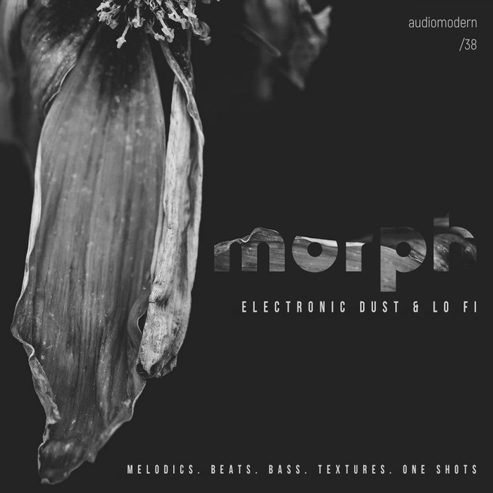 Audiomodern Morph Electronic Dust & Lo Fi Ambient Sample & Loop Library [download]