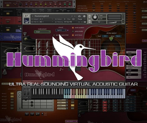 Prominy Hummingbird 1963 Gibson Hummigbird Sample Library [download]