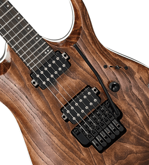 Ibanez RGA60AL RGA Axion 6-String Solidbody Electric Guitar With Ash Body And Macassar Ebony Fingerboard