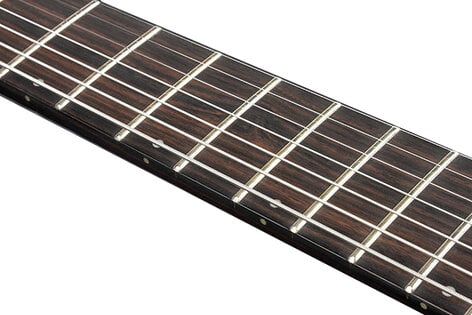 Ibanez RGA60AL RGA Axion 6-String Solidbody Electric Guitar With Ash Body And Macassar Ebony Fingerboard