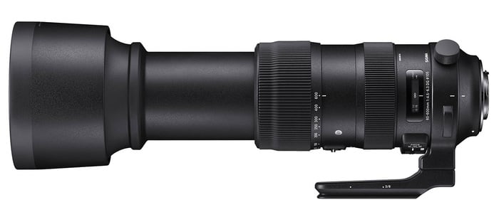 Sigma 60-600mm f/4.5-6.3 DG OS HSM Sports Zoom Camera Lens